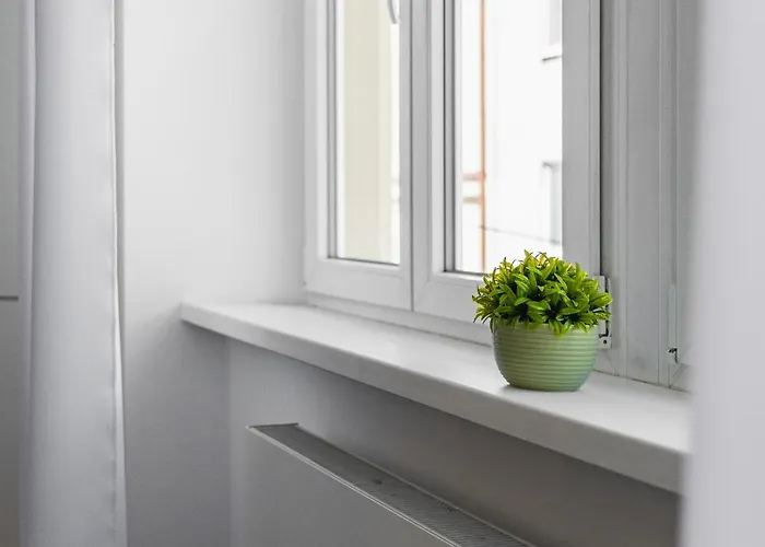 Marianska Nest *
